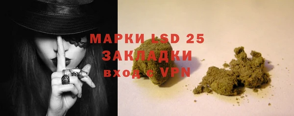 ГАЛЛЮЦИНОГЕННЫЕ ГРИБЫ Балабаново