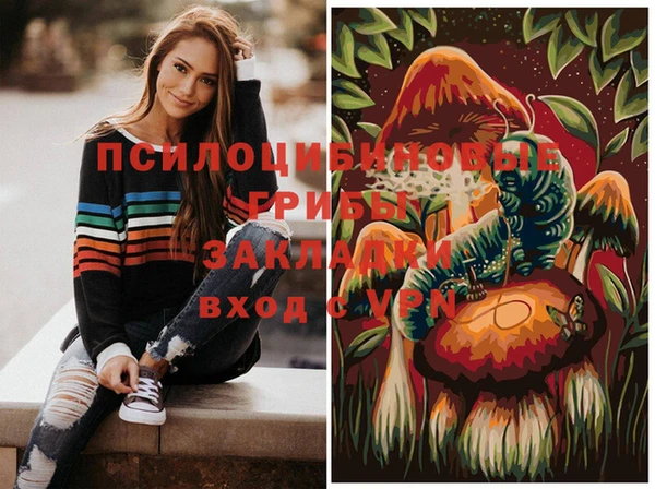 ГАЛЛЮЦИНОГЕННЫЕ ГРИБЫ Балабаново
