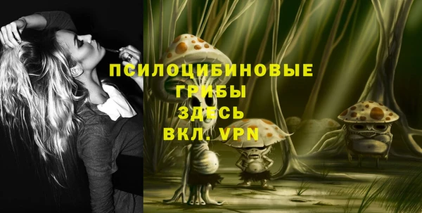 ГАЛЛЮЦИНОГЕННЫЕ ГРИБЫ Балабаново