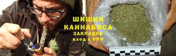 ГАЛЛЮЦИНОГЕННЫЕ ГРИБЫ Балабаново