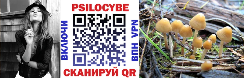 Псилоцибиновые грибы Magic Shrooms  Гремячинск 
